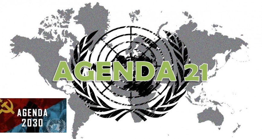 Agenda 21 s cieľmi trvalo udržateľného rozvoja (SDG) vznikla v roku 1992 v spolupráci medzi OSN a WEF.